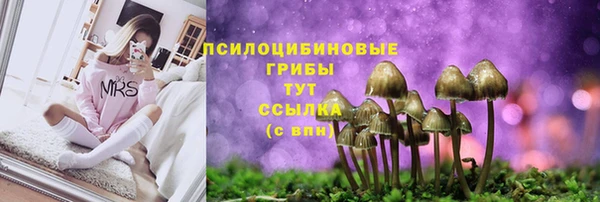 круглые Алзамай