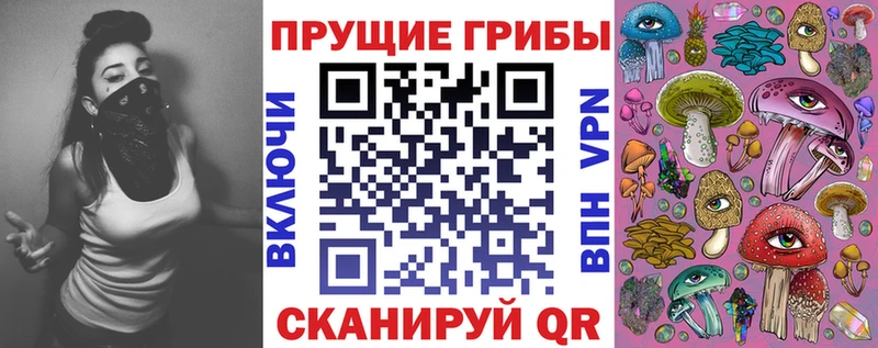 ссылка на мегу онион Отрадная Галлюциногенные грибы Psilocybine cubensis